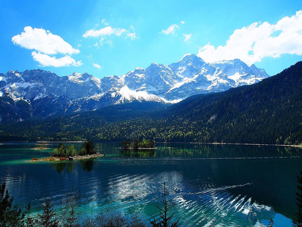 Создание сайта магазина город Коростень, разработка сайта магазина город Коростень, разработка сайтов в Коростень