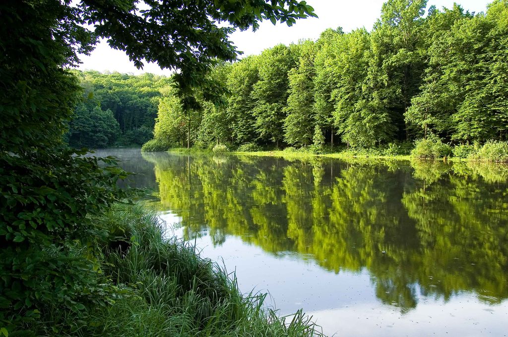 Создание сайта магазина город Киев, разработка сайта магазина город Киев, разработка сайтов в Киев