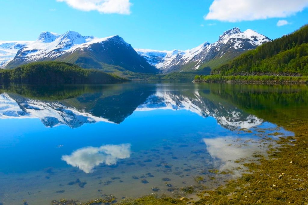 Создание сайта магазина город Харьков, разработка сайта магазина город Харьков, разработка сайтов в Харьков