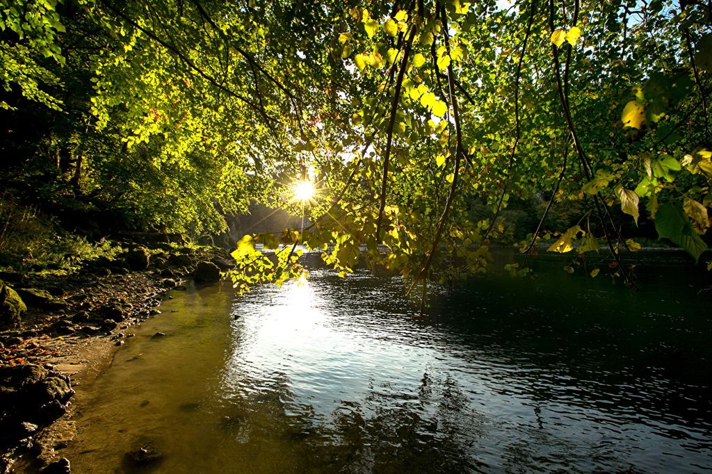 Создание сайта на php город Овруч, разработка сайта на php Овруч, сайт пхп разработка Овруч