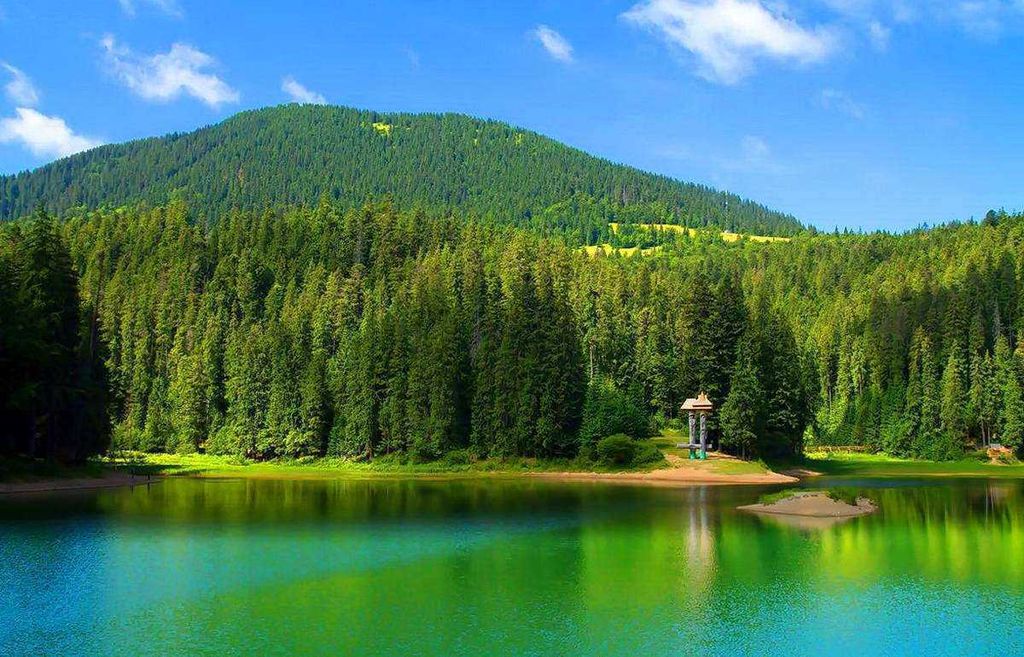 Создание сайта на php город Киев, разработка сайта на php Киев, сайт пхп разработка Киев