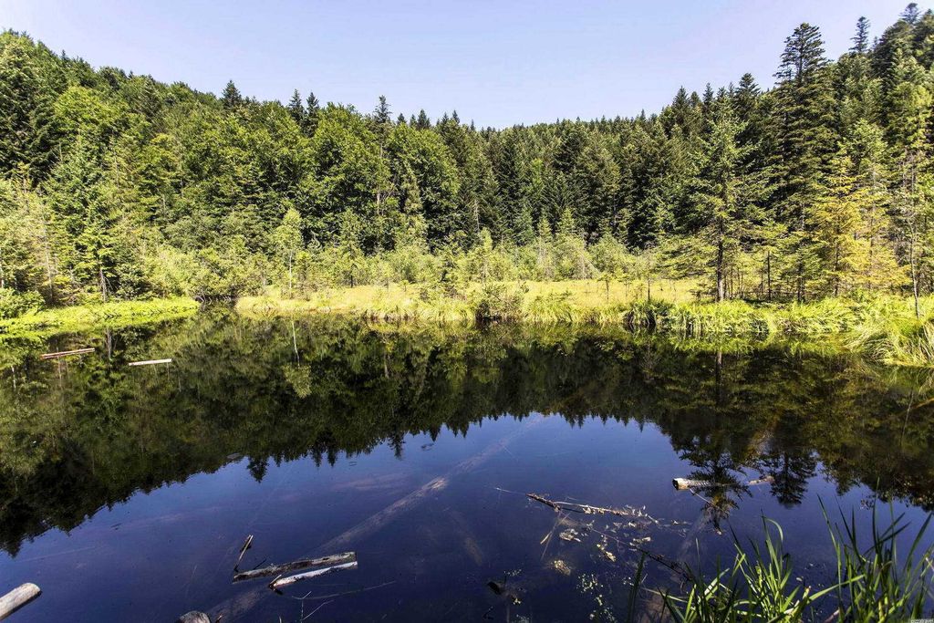 Создание сайта на php город Черкассы, разработка сайта на php Черкассы, сайт пхп разработка Черкассы