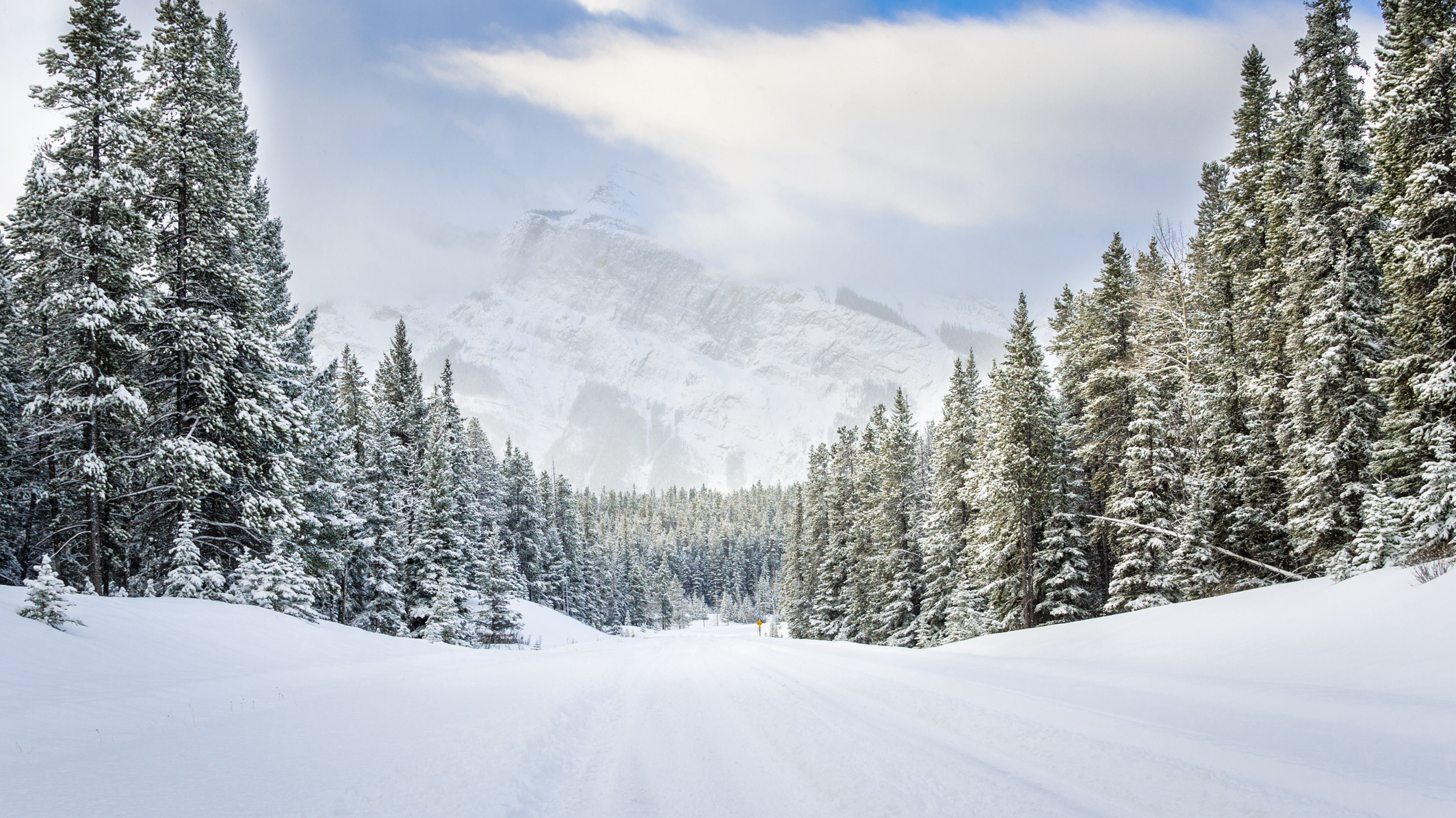 Wordpress разработка сайтов город Коростень, wordpress разработчик сайтов Коростень