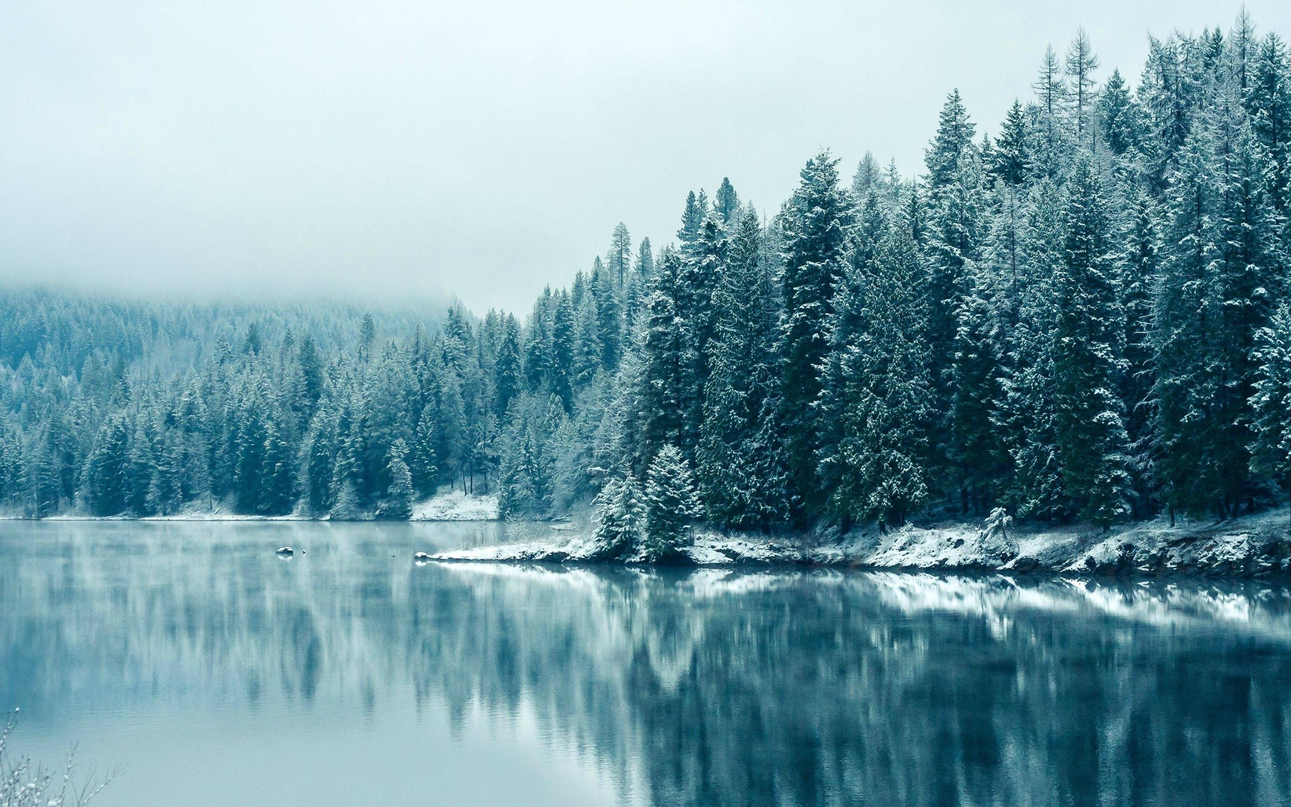 Wordpress разработка сайтов город Борисполь, wordpress разработчик сайтов Борисполь