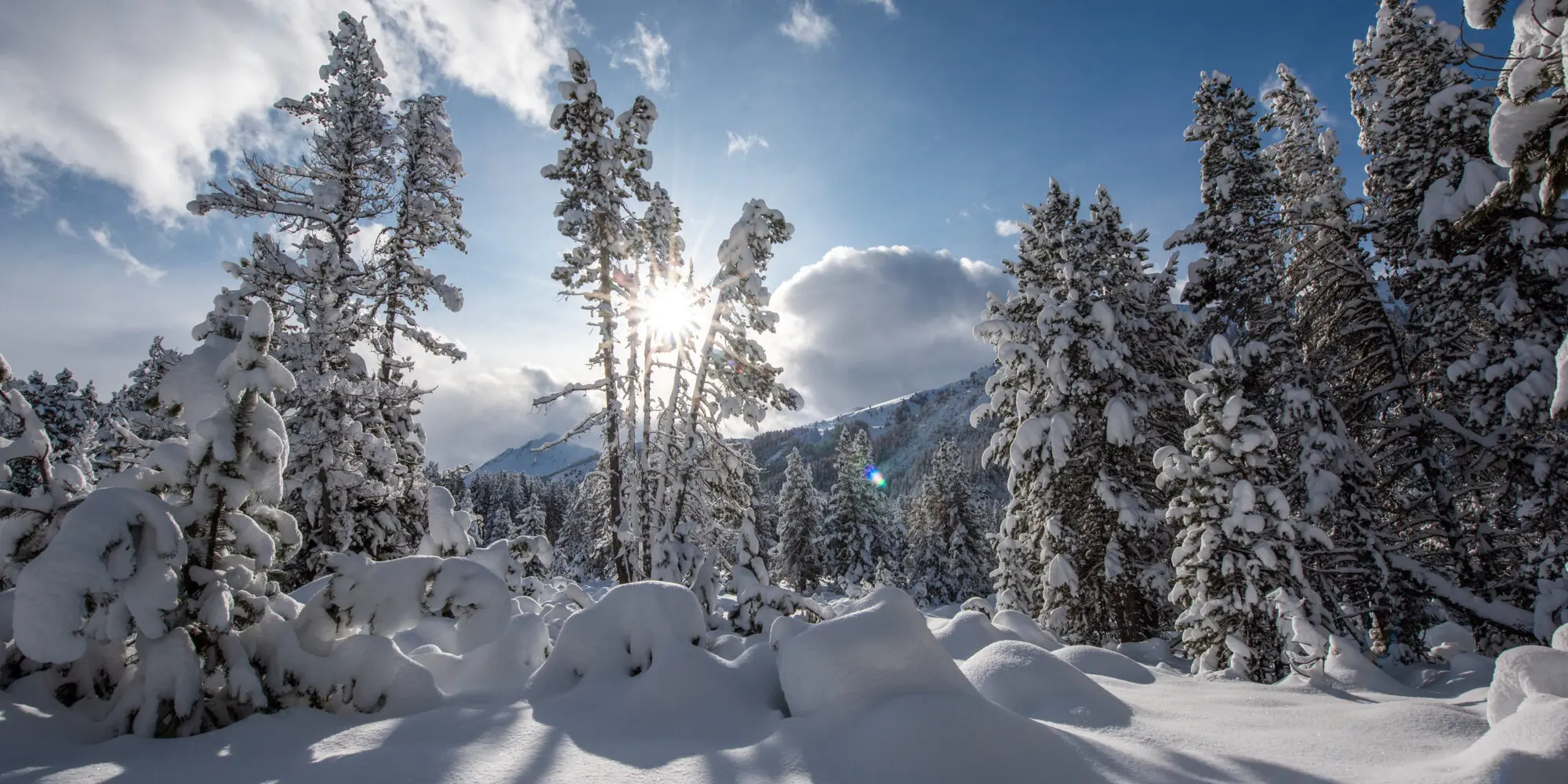 Сайт wordpress город Овруч, сайт woocommerce Овруч, сайт вордпрес Овруч, сайт магазин Овруч