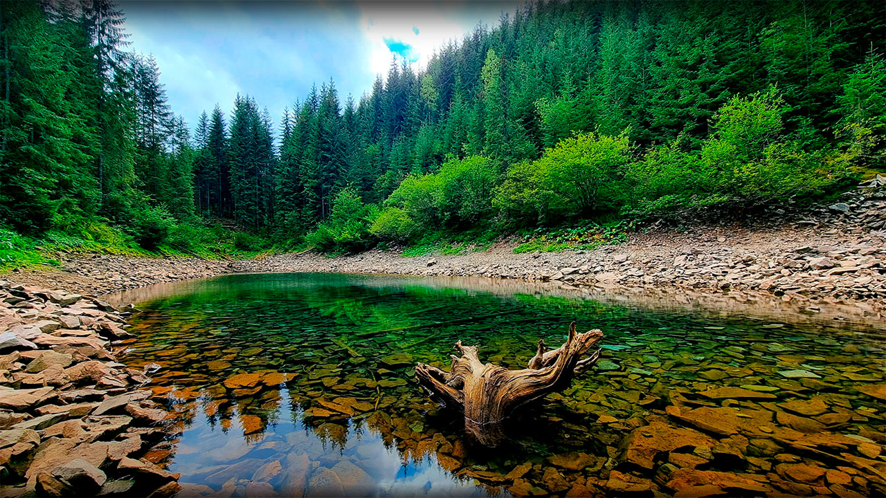 Создание сайтов под ключ город Одесса, создание сайтов Одесса