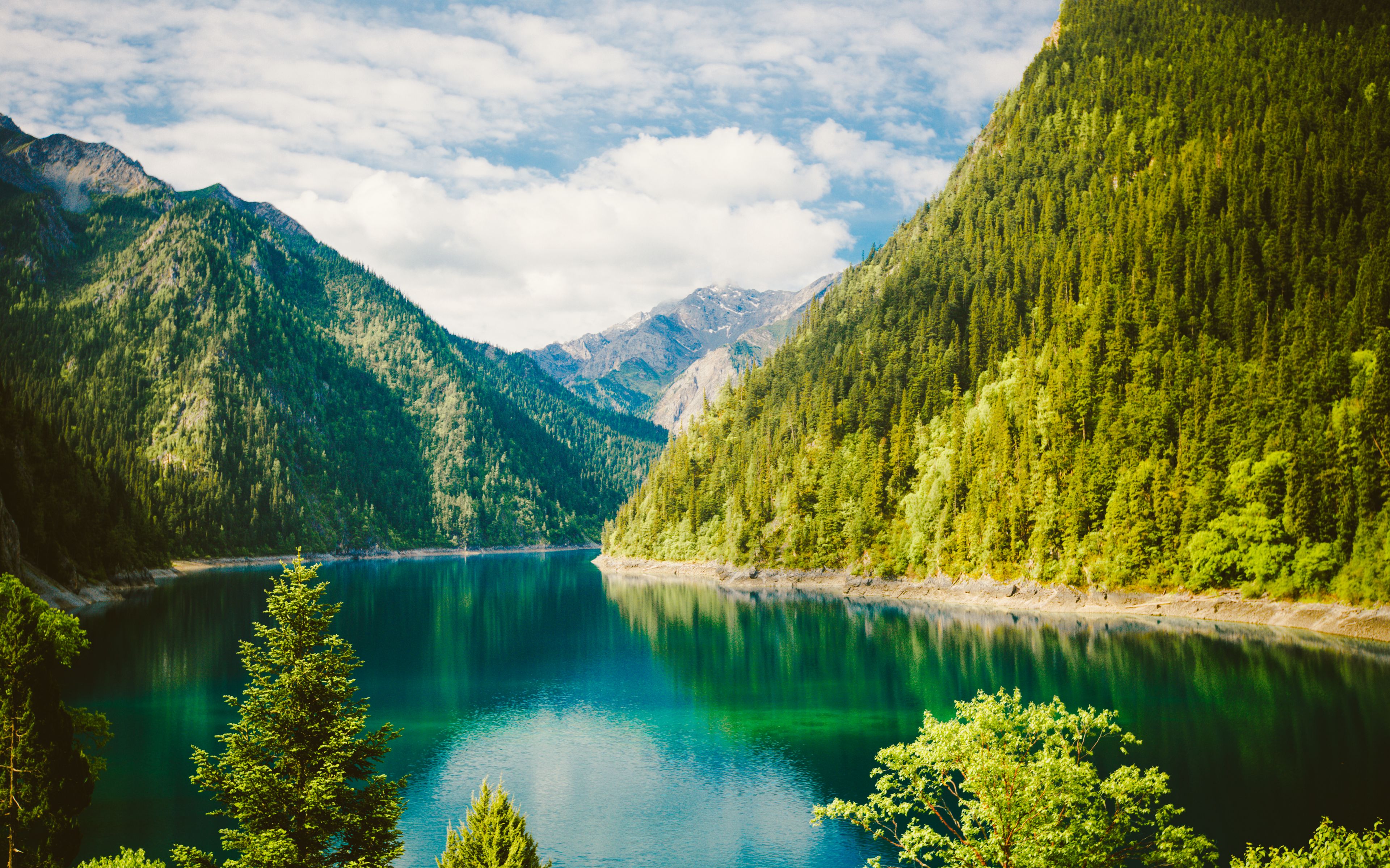 Создание сайтов под ключ город Черновцы, создание сайтов Черновцы