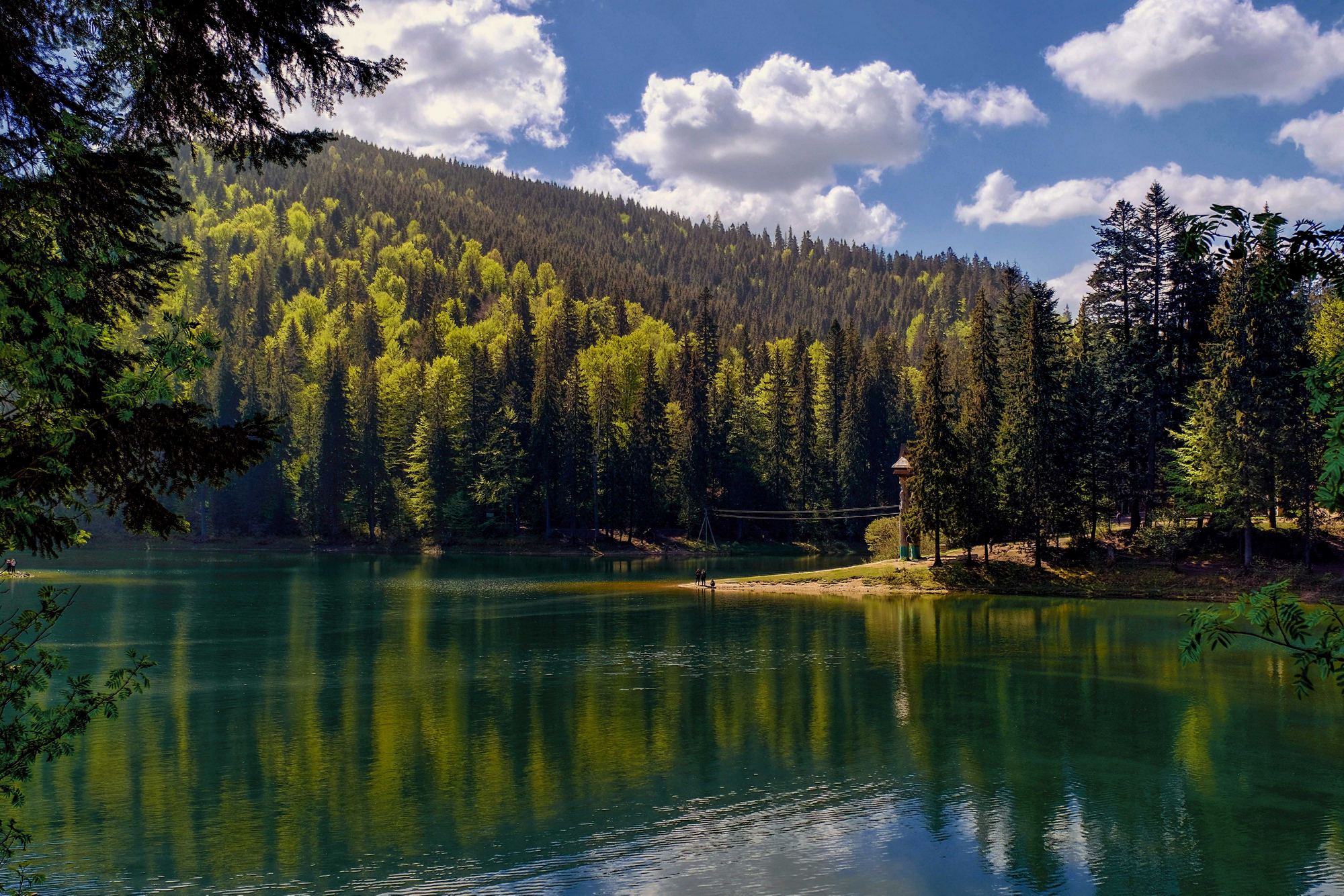 Создание сайтов под ключ город Черкассы, создание сайтов Черкассы