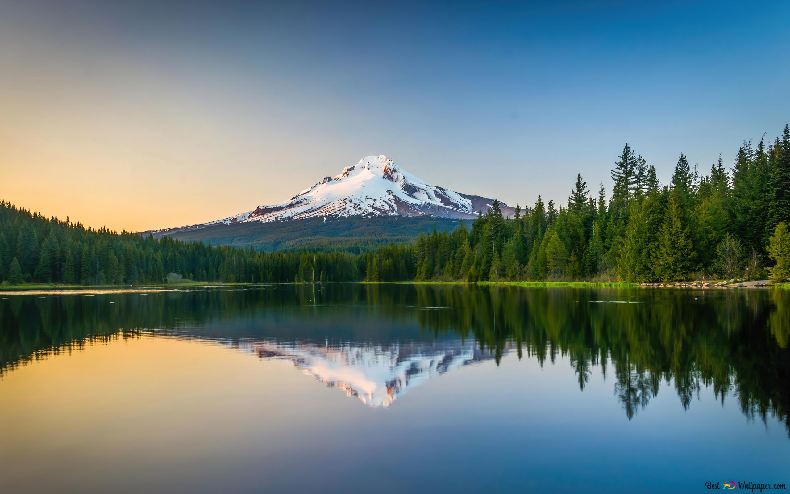 Создание сайтов под ключ город Коростень, создание сайтов Коростень